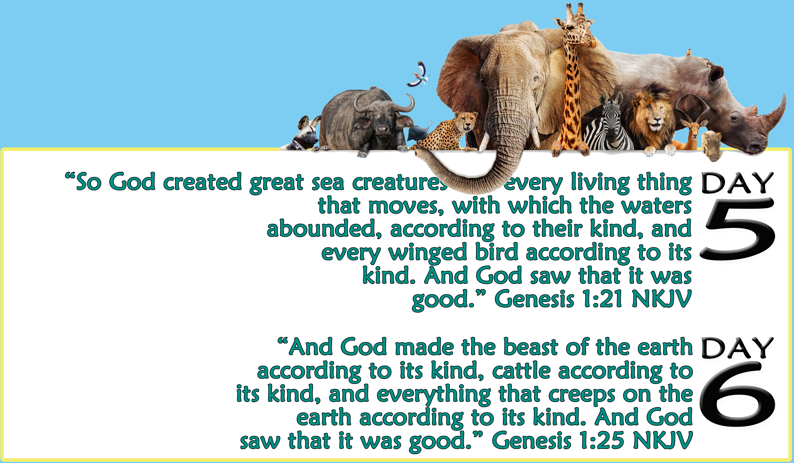 Animals