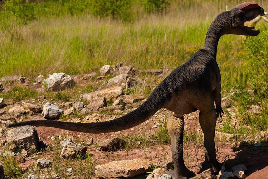 Dinosaurs on the Ark