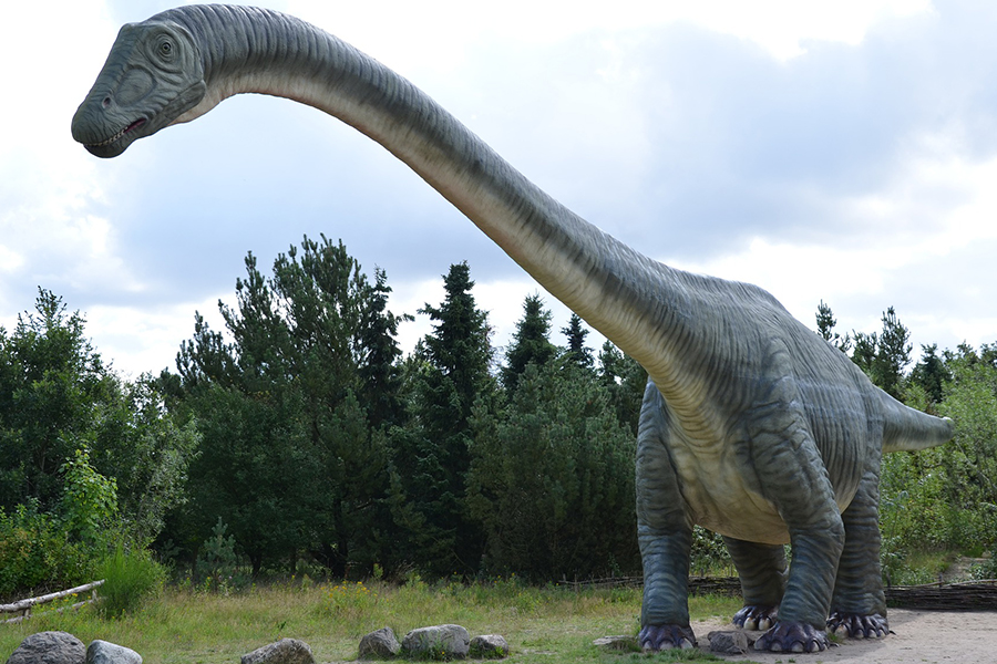 Dinosaurs in the Bible