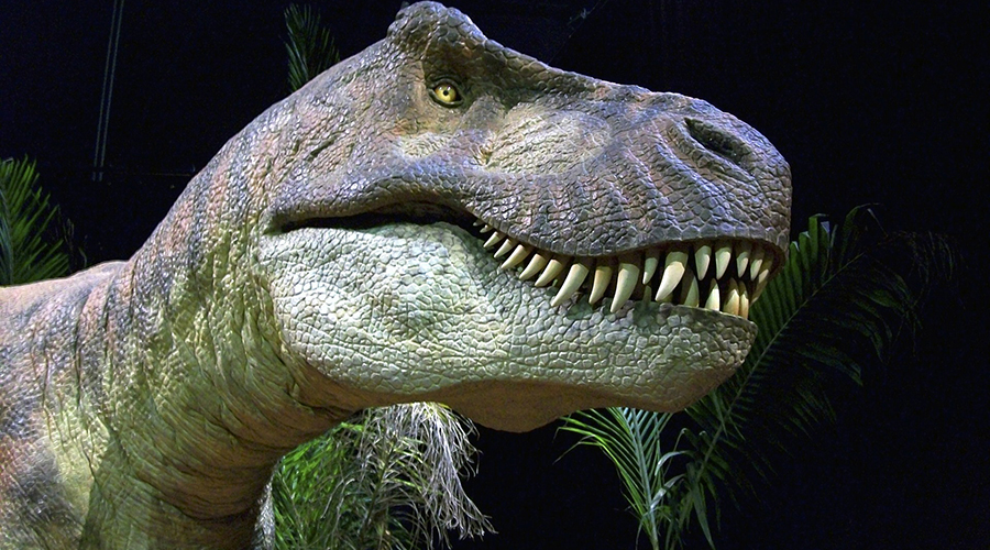 Dinosaur Soft Tissue