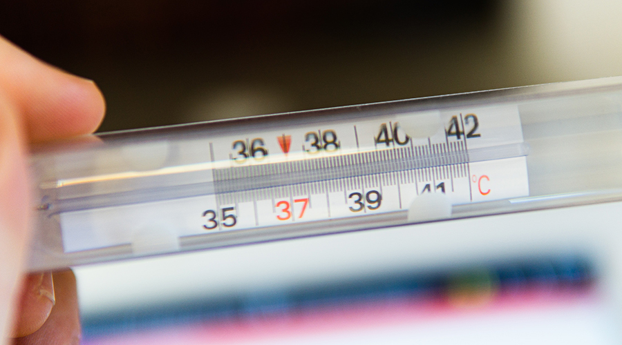 Human Body Temperature