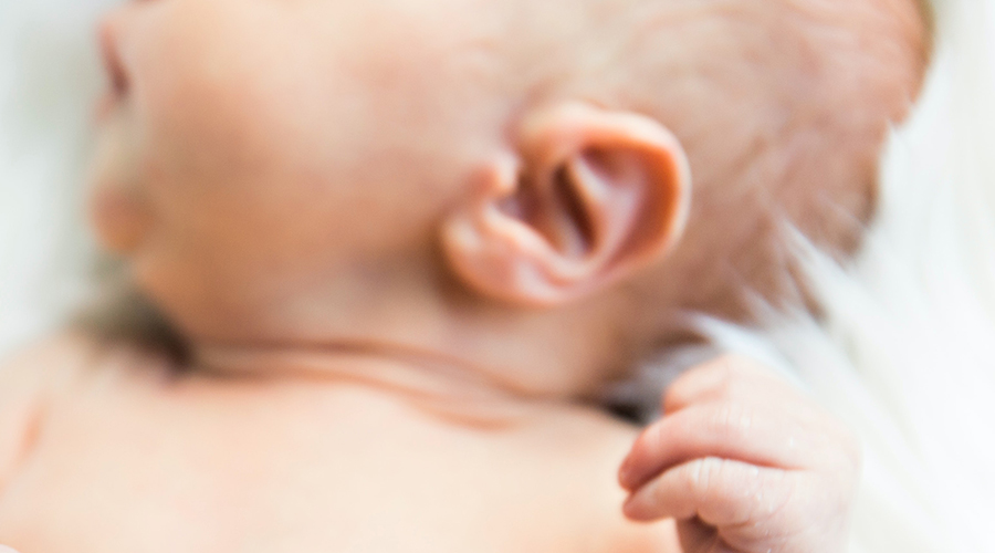 Human Ear