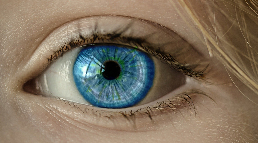 Human Eye